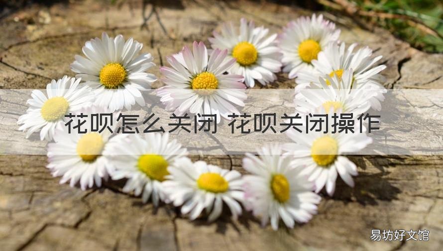 花呗怎么关闭 花呗关闭操作 怎样关闭花呗呢