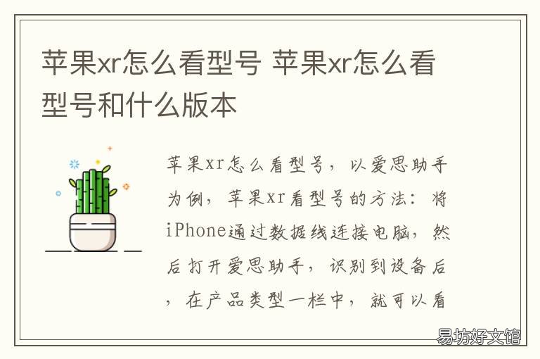 苹果xr怎么看型号 xr的型号在哪里看