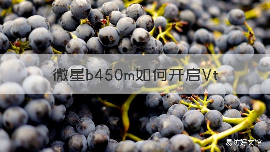 微星b450m如何开启Vt 微星b450m如何开启pbo