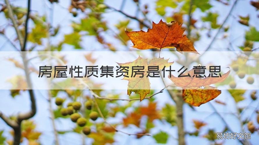 房屋性质集资房是什么意思 集资房属于什么性质