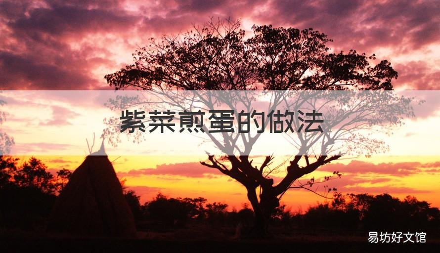 紫菜煎蛋的做法 紫菜煎蛋的做法视频