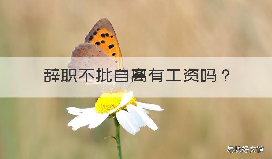 辞职不批自离有工资吗 急辞职不批自离有工资吗