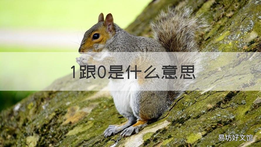 1跟0是什么意思 1和 0什么意思