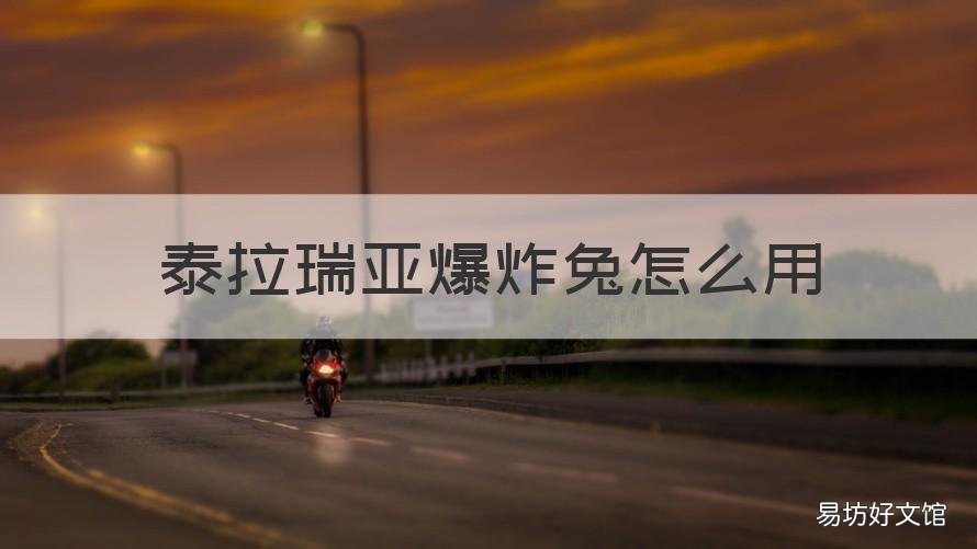 泰拉瑞亚爆炸兔怎么用 泰拉瑞亚爆炸兔用不了