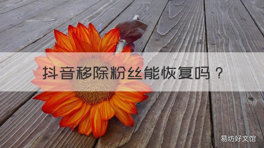 抖音移除粉丝能恢复吗 移除抖音粉丝怎么恢复