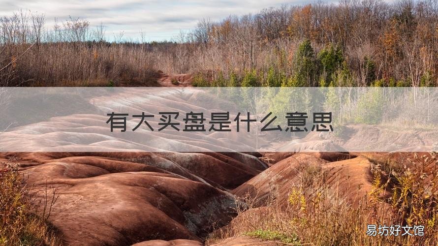 有大买盘是什么意思 有大买盘和大卖盘是什么意思