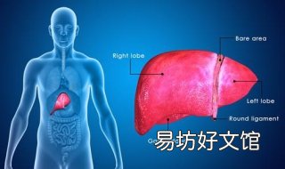 肝功能异常怎么办 高考体检肝功能异常怎么办