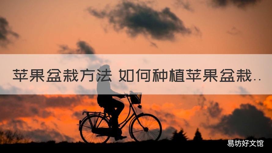 苹果盆栽方法 如何种植苹果盆栽 怎么种苹果盆栽