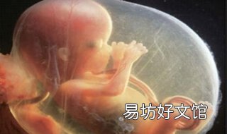 脐带绕颈一周怎么办 32周脐带绕颈一周怎么办?