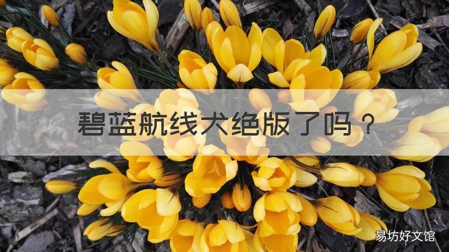 碧蓝航线犬绝版了吗 碧蓝航线 狗子