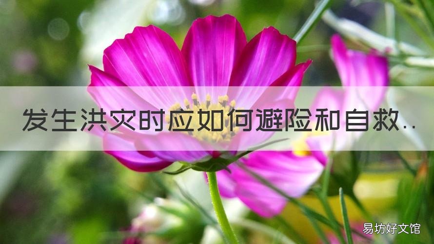 发生洪灾时应如何避险和自救 洪灾的预防和自救