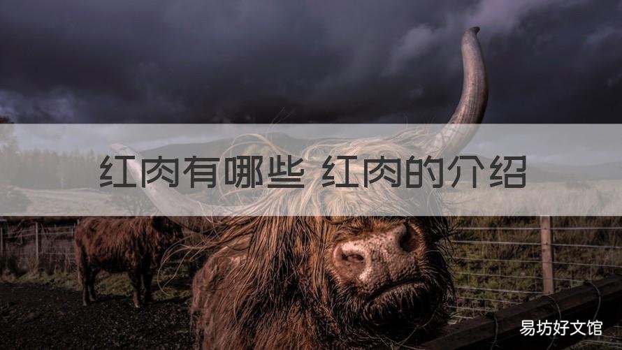红肉有哪些 红肉的介绍 哪些是红肉哪些是肉