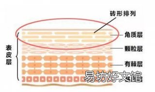 角质层薄怎么办 皮肤角质层薄怎么办