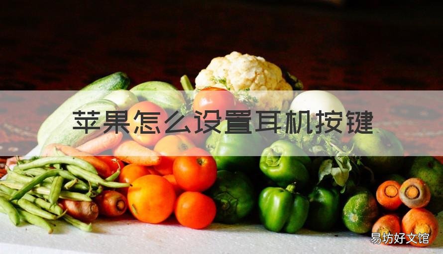 苹果怎么设置耳机按键 苹果设置耳机按键功能