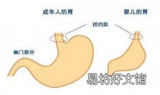 新生儿为什么老吐奶 新生儿为什么老是吐奶?