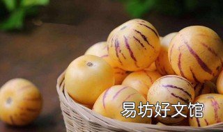 人参果盆栽怎么养殖 人参果盆栽怎么养殖方法