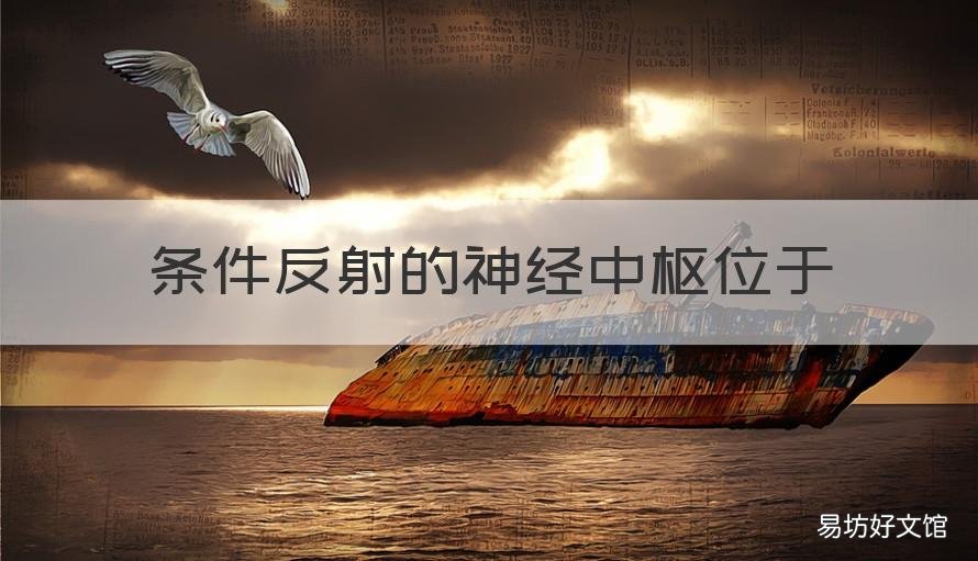 条件反射的神经中枢位于 条件反射的神经中枢位于脊髓吗