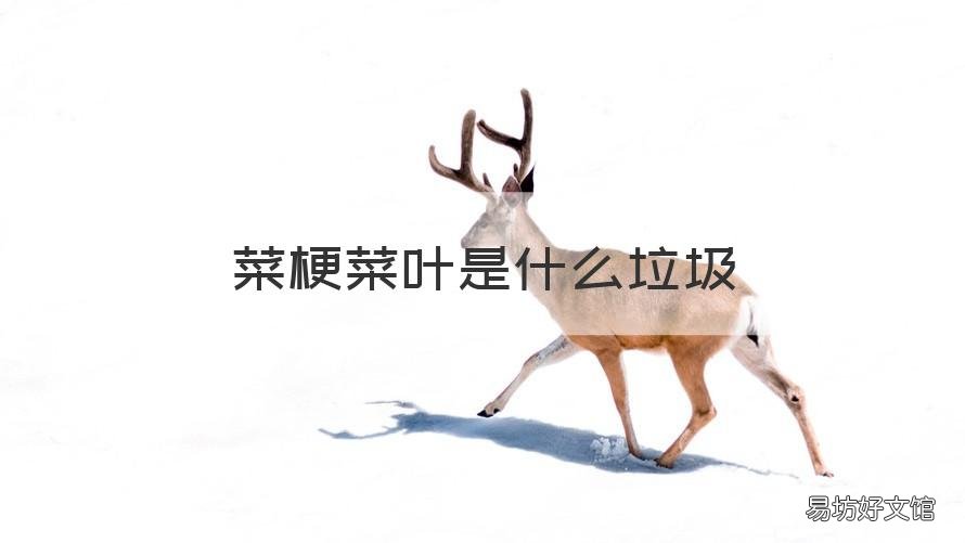 菜梗菜叶是什么垃圾 菜叶菜梗属于什么垃圾