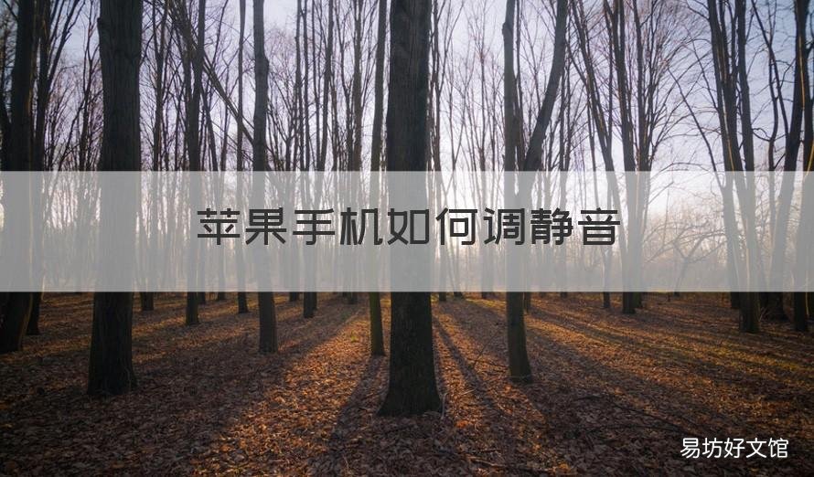 苹果手机如何调静音 苹果手机如何调静音和铃声