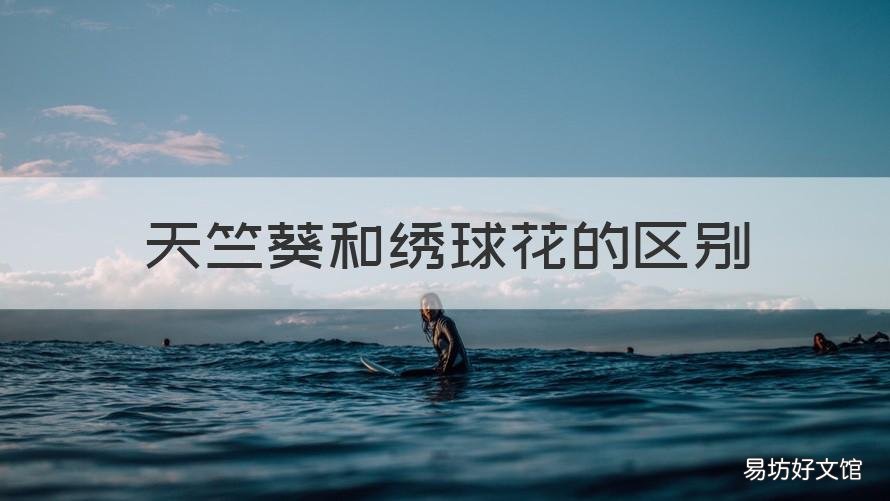 天竺葵和绣球花的区别 天竺葵与绣球花区别