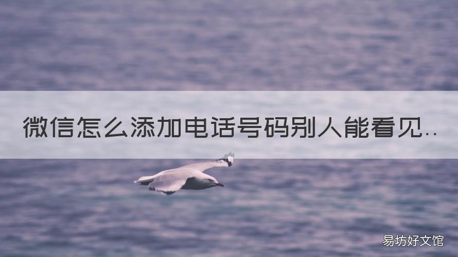 微信怎么添加电话号码别人能看见 别人的电话号码怎么添加微信