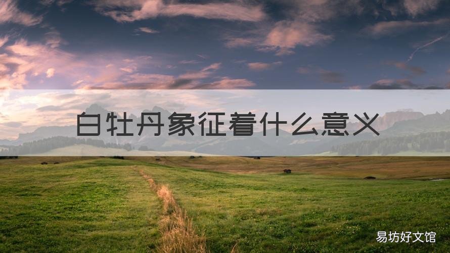 白牡丹象征着什么意义 白牡丹有啥寓意