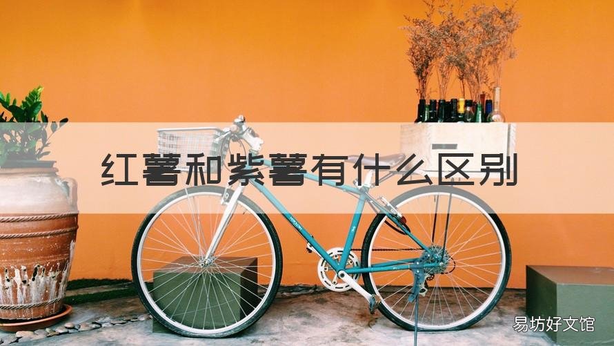 红薯和紫薯有什么区别 紫薯跟红薯的区别是什么