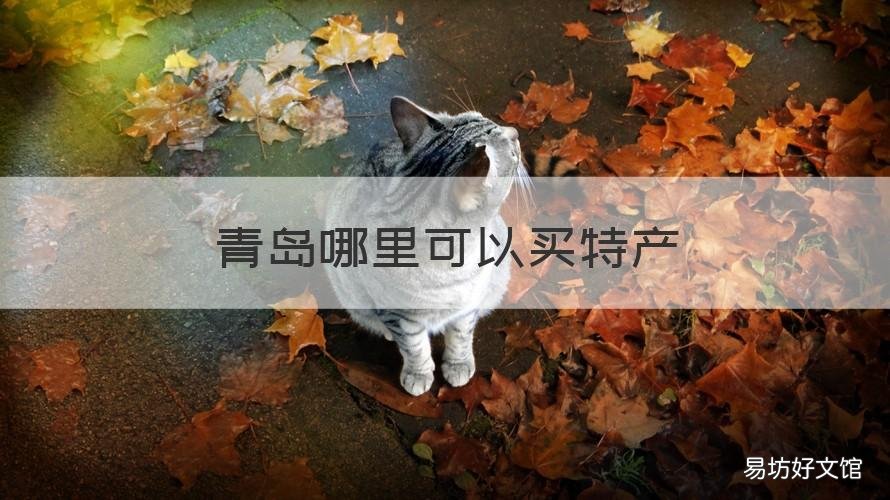 青岛哪里可以买特产 青岛哪里买特产不坑