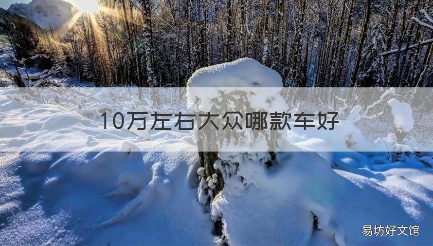 10万左右大众哪款车好 10万左右大众哪一款车好