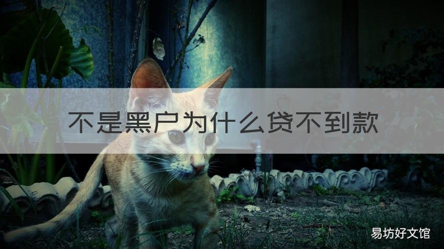 不是黑户为什么贷不到款 黑户不可以贷款吗