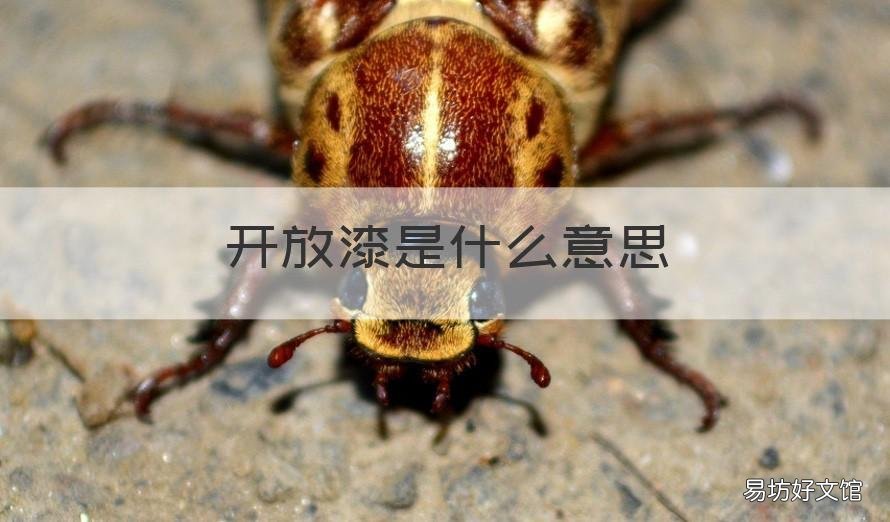 开放漆是什么意思 全开放漆是什么意思