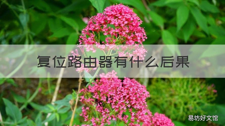 复位路由器有什么后果 路由器复位了有什么用