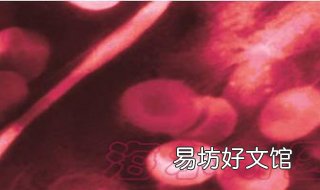 血粘度高怎么办 血粘度高怎么办 怎么恢复
