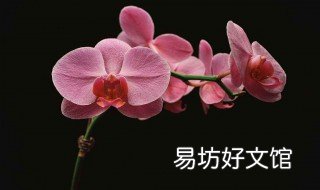 半水培什么意思 什么叫半水