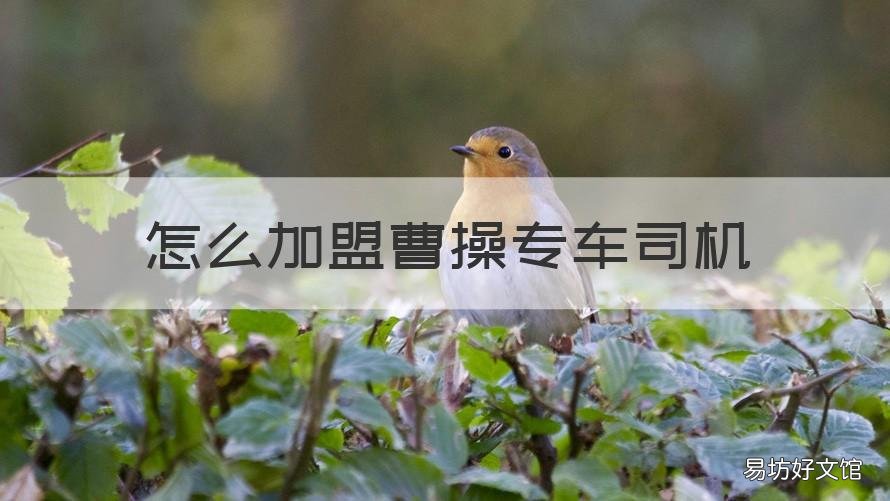 怎么加盟曹操专车司机 曹操司机和曹操加盟司机