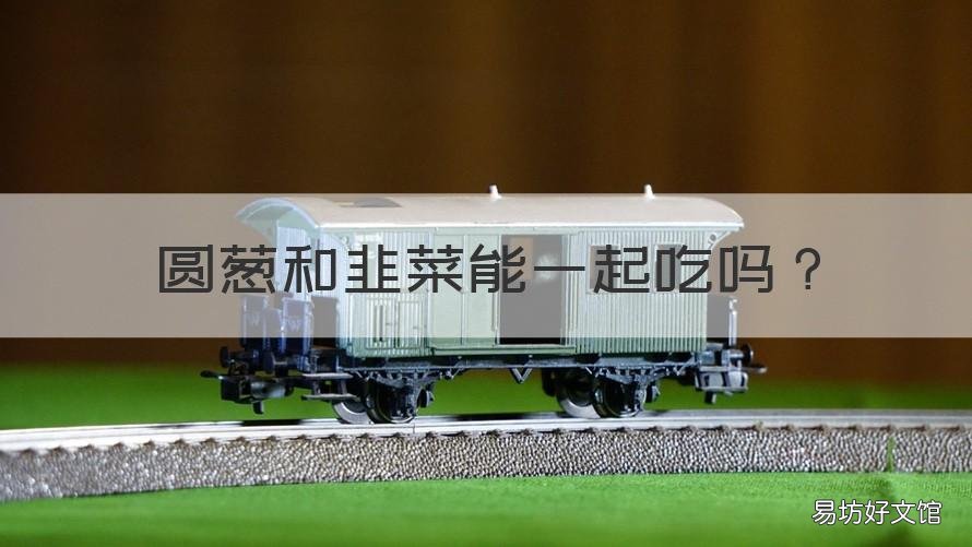圆葱和韭菜能一起吃吗 圆葱和韭菜能一起吃吗宝宝