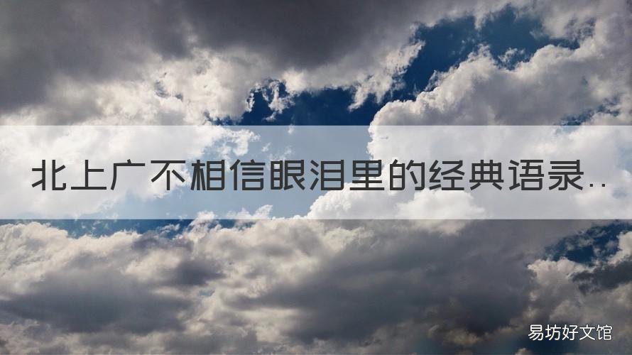 北上广不相信眼泪里的经典语录 北上广不相信眼泪句子的意思