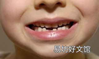 门牙掉了怎么办 狗狗门牙掉了怎么办