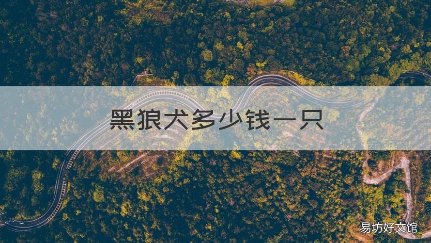 黑狼犬多少钱一只 中华黑狼犬多少钱一只