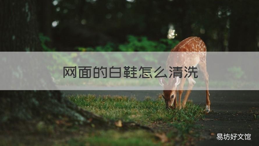 网面的白鞋怎么清洗 网面白鞋清洗小窍门