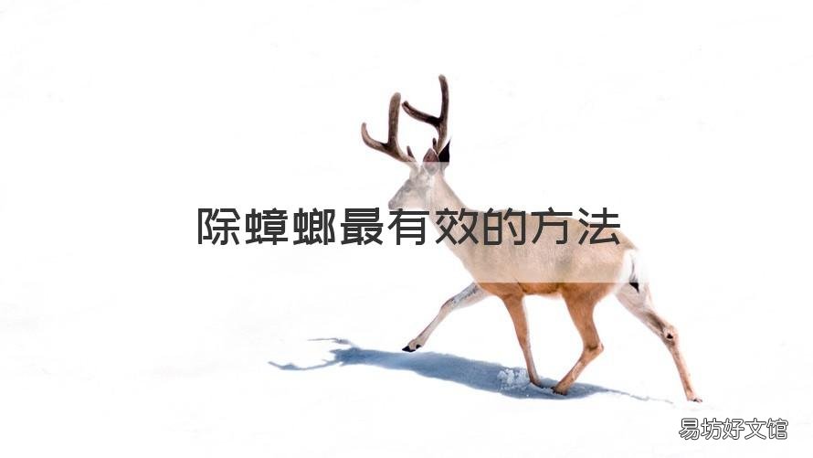 除蟑螂最有效的方法 物理除蟑螂最有效的方法