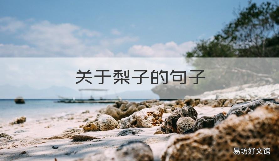 关于梨子的句子 关于梨子的优美句子