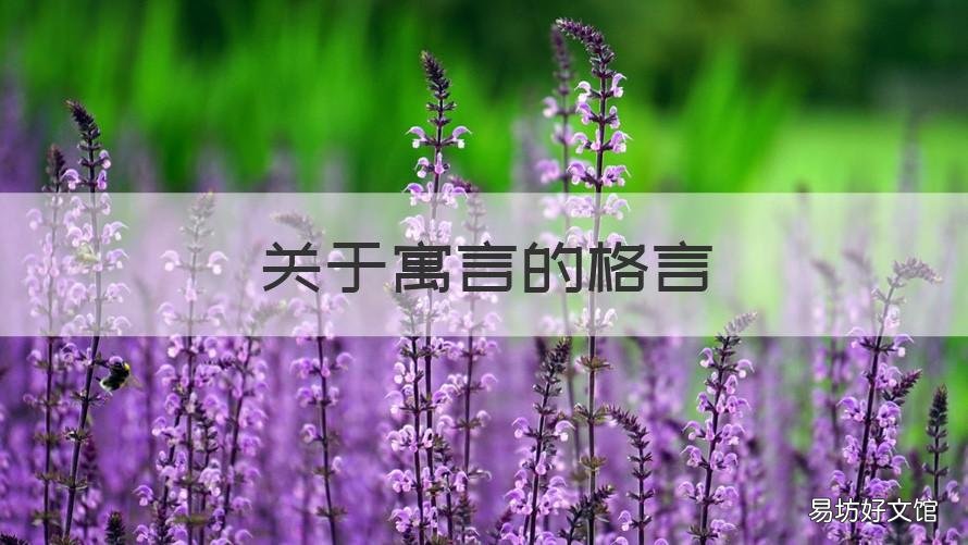 关于寓言的格言 关于寓言的短句