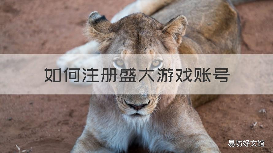 如何注册盛大游戏账号 盛大游戏官网帐号登录实名