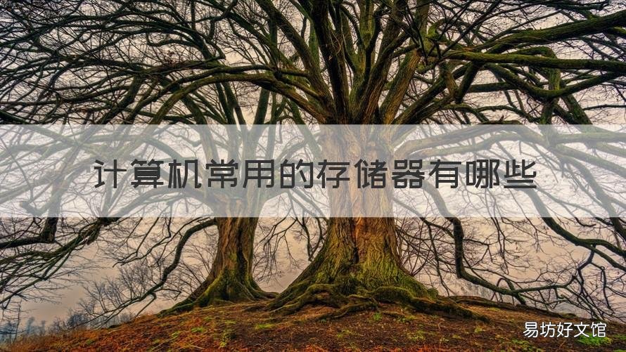 计算机常用的存储器有哪些 计算机常用的存储器有哪些类型