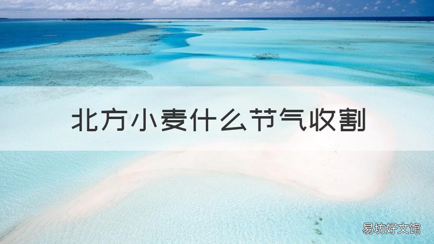 北方小麦什么节气收割 小麦在什么节气收割