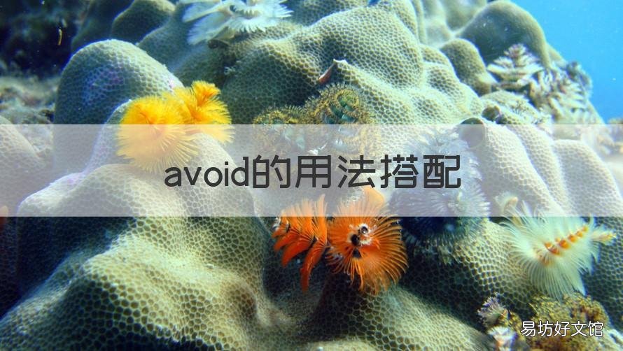 avoid的用法搭配 avoid 搭配