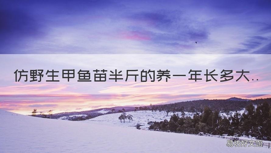 仿野生甲鱼苗半斤的养一年长多大 中华甲鱼苗一年能长多少斤