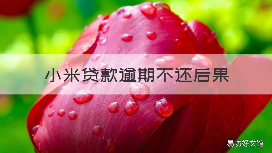 小米贷款逾期不还后果 小米贷款逾期多久会被起诉会有什么后果