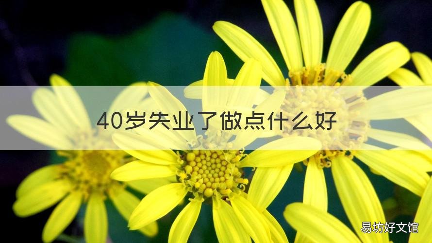 40岁失业了做点什么好 40岁失业了做点什么好呢
